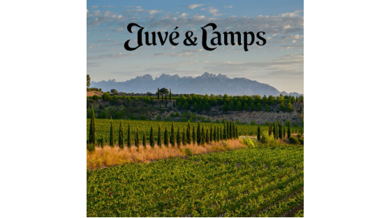 PROVA JUVÉ y CAMPS