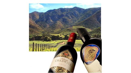 PROVA SEÑA E CHADWICK - CHILE - O NOME QUE COLOCOU O CHILE NO MUNDO DOS VINHOS